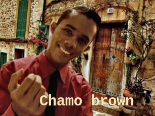 Chamo_brown
