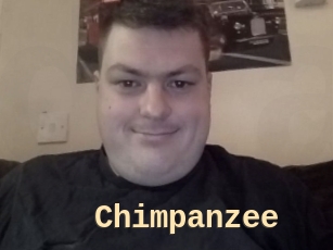 Chimpanzee