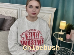 Chloebush