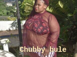 Chubby_bule