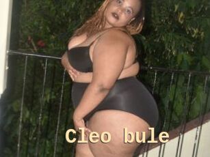 Cleo_bule