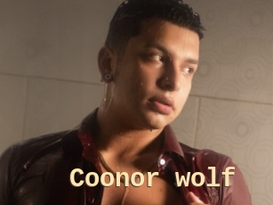 Coonor_wolf
