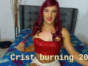 Crist_burning_20