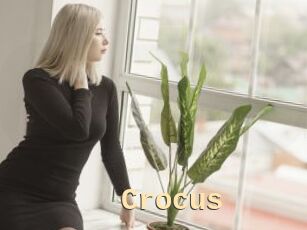 Crocus