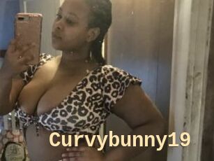 Curvybunny19