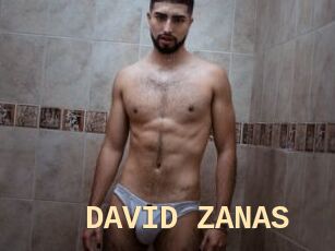 DAVID_ZANAS