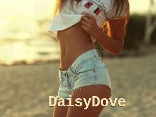 DaisyDove