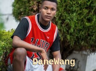 DaneWang