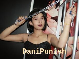 DaniPunish