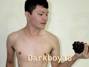 Darkboy18
