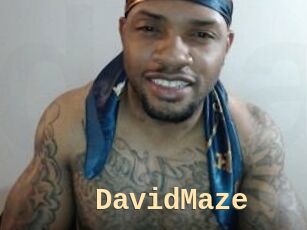 David_Maze