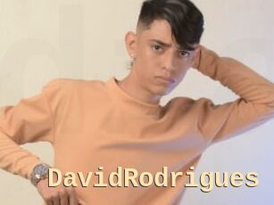 DavidRodrigues