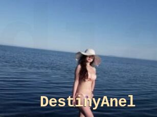 DestinyAnel
