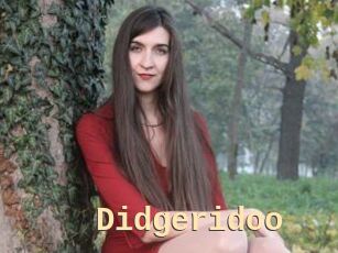 Didgeridoo