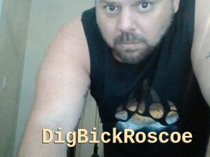 DigBickRoscoe