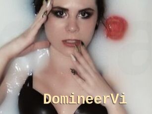 DomineerVi