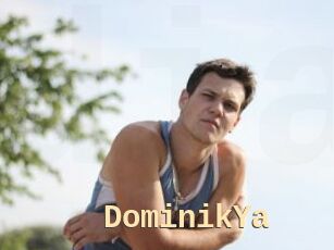 DominikYa