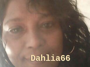 Dahlia66