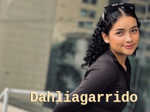 Dahliagarrido