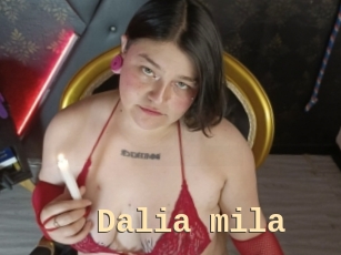Dalia_mila