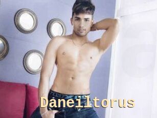 Daneil_torus