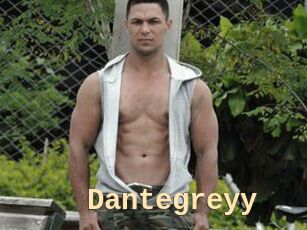 Dantegreyy