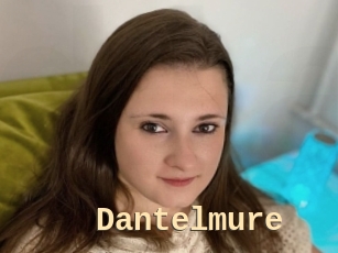 Dantelmure