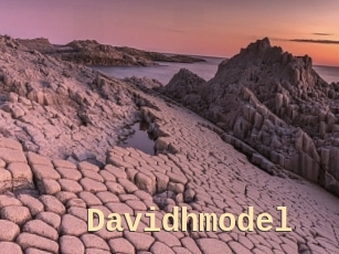 Davidhmodel