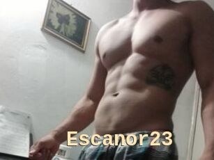 Escanor23