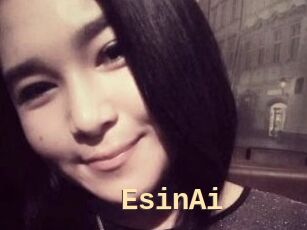 EsinAi