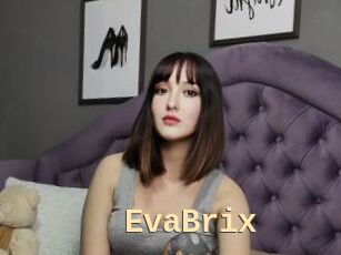 EvaBrix
