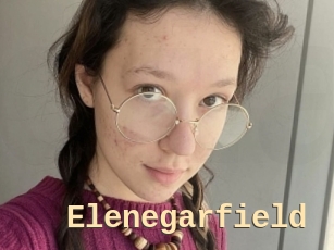 Elenegarfield