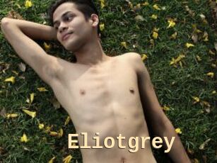 Eliotgrey