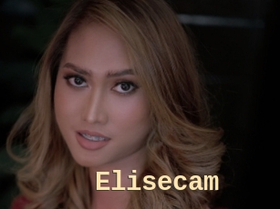 Elisecam