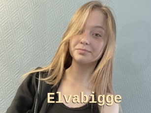 Elvabigge