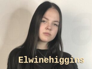 Elwinehiggins