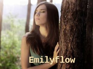 Emilyflow