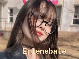 Erlenebate