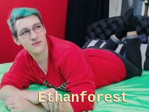 Ethanforest