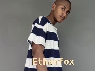 ethanfox Dialogue Sexe