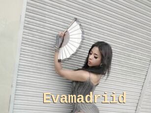Evamadriid