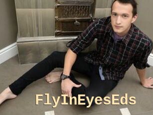 FlyInEyesEds
