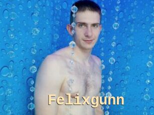 Felixgunn