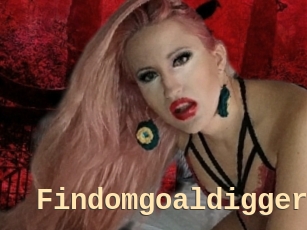 Findomgoaldigger