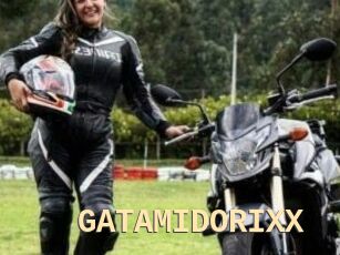 GATAMIDORIXX