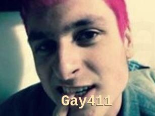 Gay411