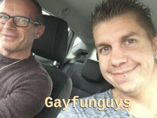 Gayfunguys