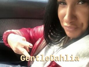 GentleDahlia