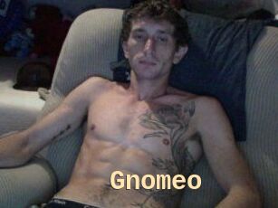 Gnomeo
