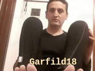 Garfild18